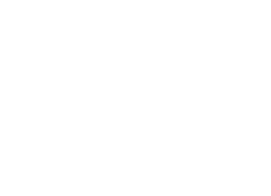 chiffre d'affaire