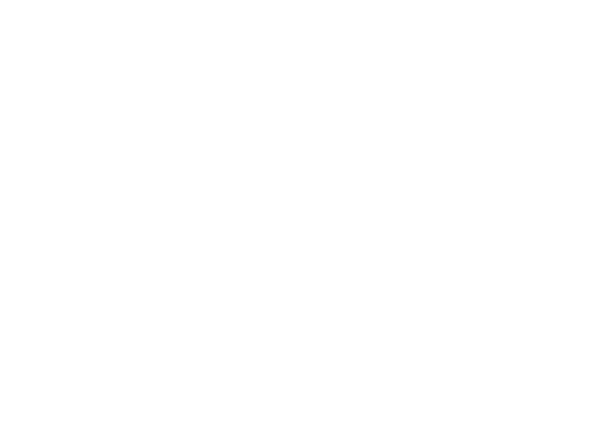 Effectif