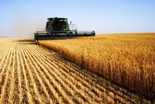 assurance paramétrique, agroalimentaire, risques climatiques