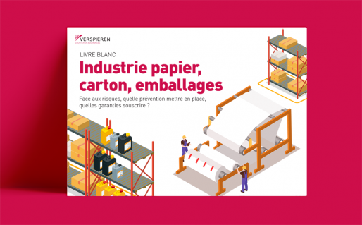 Industrie papier carton, prévention des risques industriels