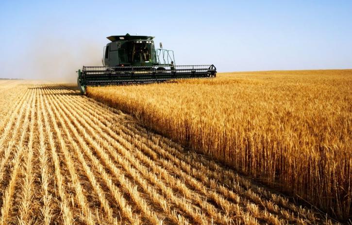 assurance paramétrique, agroalimentaire, risques climatiques