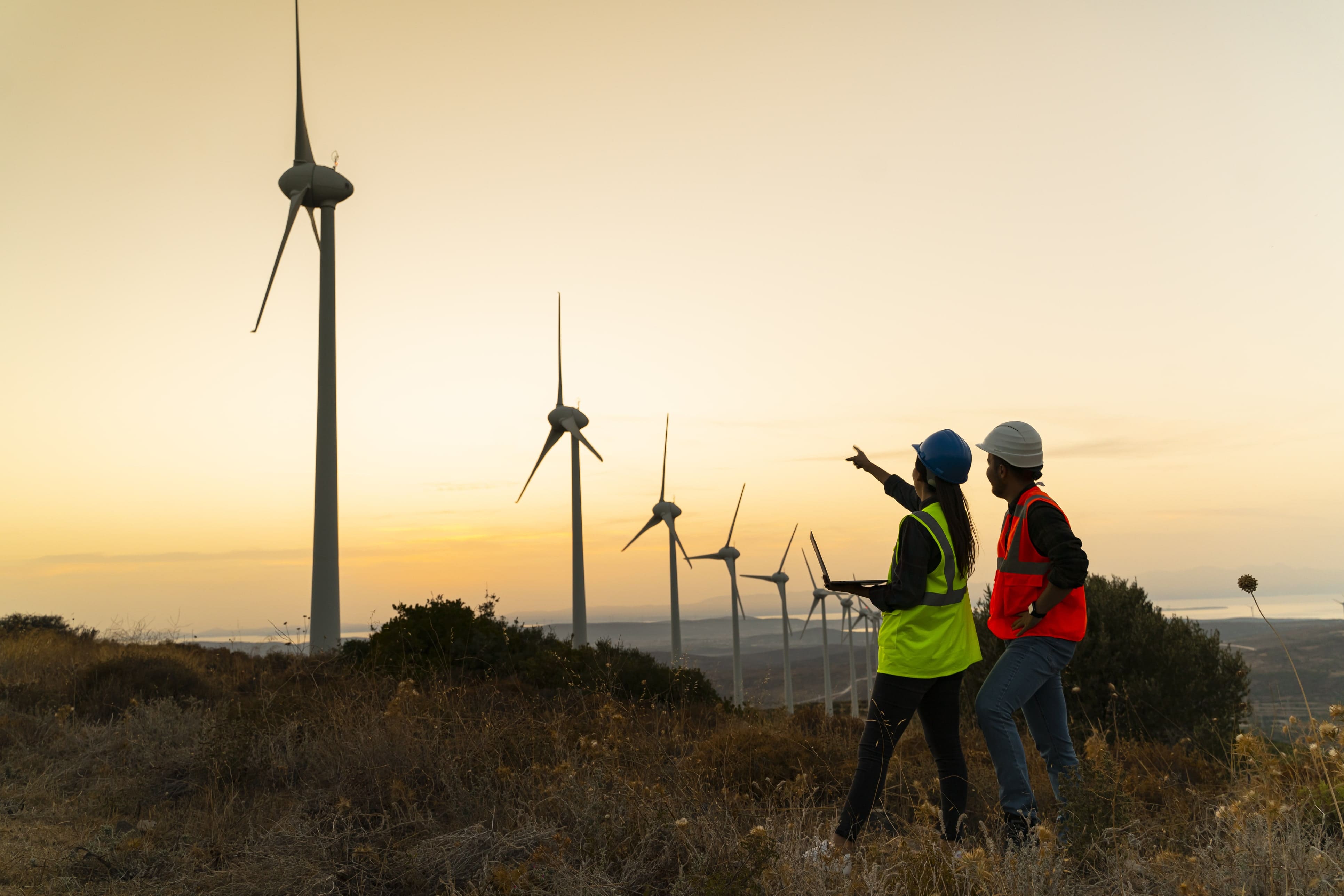 Assurances pour les gestionnaires de parcs éoliens et photovoltaïques