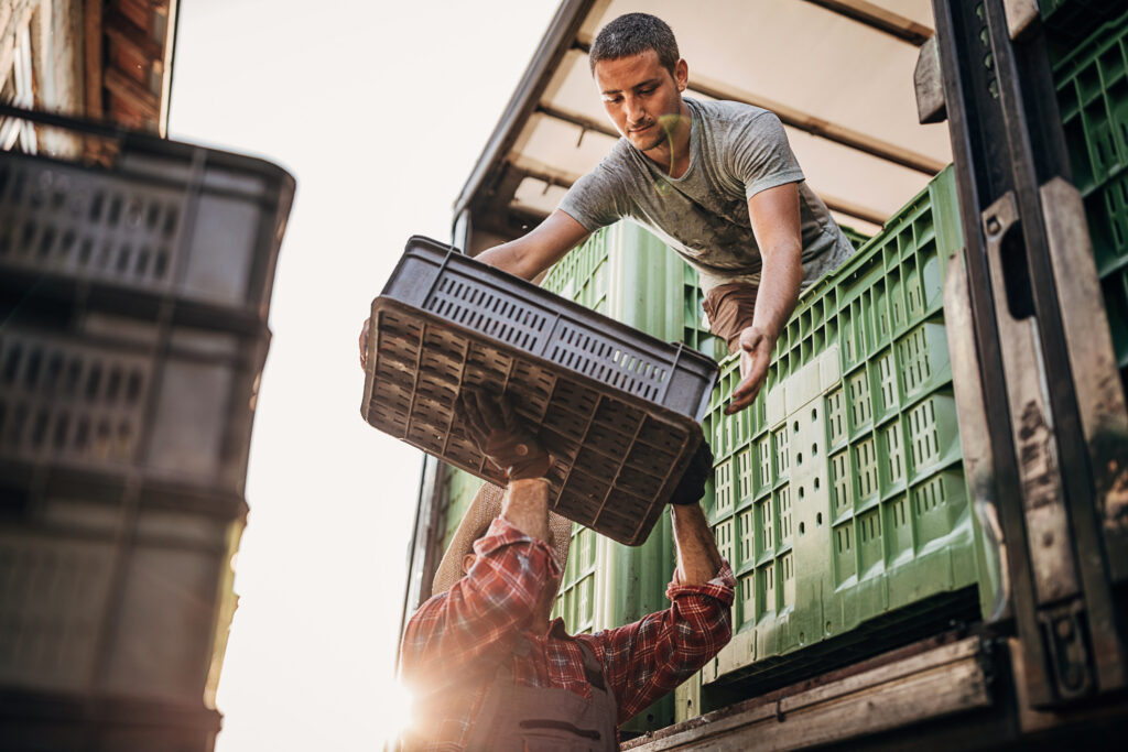 Déchargement de caisses de produits agricoles depuis un véhicule de transport logistique.